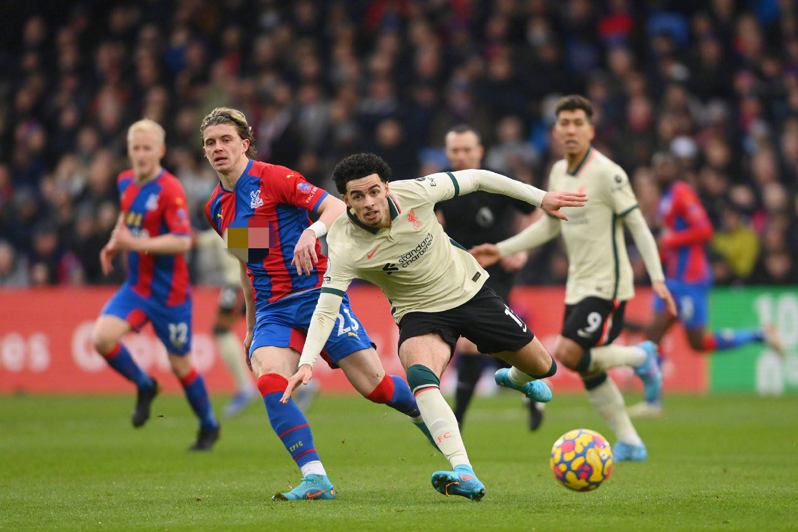 眼的明星 眼的明星